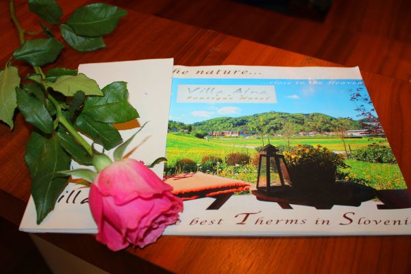 Villa Aina boutique Hotel (Lasko)